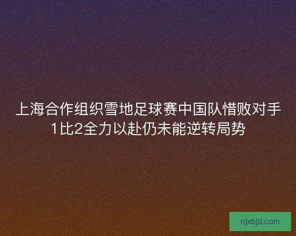上海合作组织雪地足球赛中国队惜败对手1比2全力以赴仍未能逆转局势