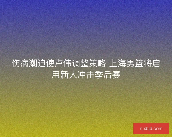 伤病潮迫使卢伟调整策略 上海男篮将启用新人冲击季后赛